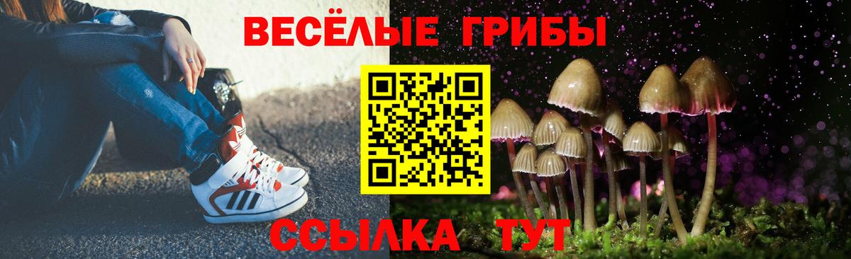 Псилоцибиновые грибы MAGIC MUSHROOMS Шатура